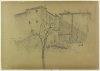 1926 - Albero nell'orto del convento di Sant'Anna